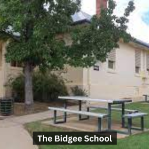 The Bidgee School