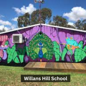 Willans Hill School_